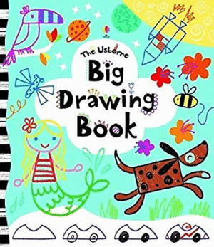 BIG DRAWING BOOK