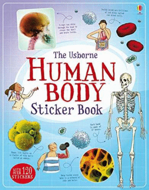 HUMAN BODY STICKER
