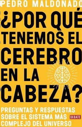 ¿POR QUÉ TENEMOS EL CEREBRO EN LA CABEZA? / WHY DO WE HAVE OUR BRAIN IN OUR HEAD?: QUESTIONS AND ANSWERS ABOUT THE MOST COMPLEX SYSTEM IN THE UNIVERSE