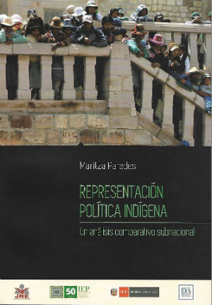 REPRESENTACIÓN POLÍTICA INDÍGENA