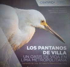 LOS PANTANOS DE VILLA