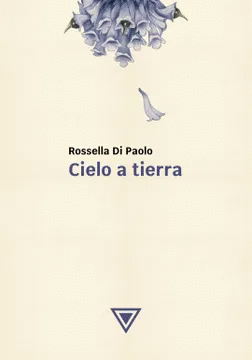 CIELO A TIERRA
