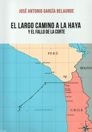 EL LARGO CAMINO A LA HAYA Y EL FALLO DE LA CORTE