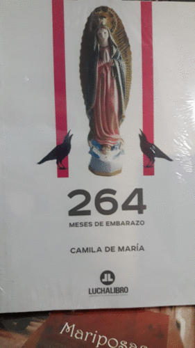 264 MESES DE EMBARAZO