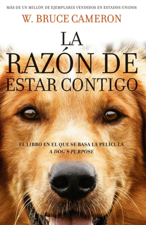 LA RAZON DE ESTAR CONTIGO