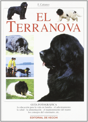 EL TERRANOVA