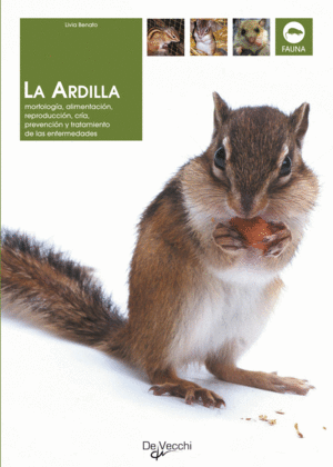 LA ARDILLA