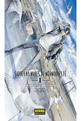 SIGUE LAS NUBES AL NORNOROESTE 01