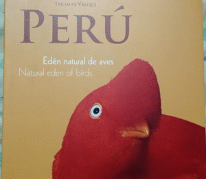 PERU,EDÉN NATURAL DE AVES, NATURAL EDEN OF BIRDS